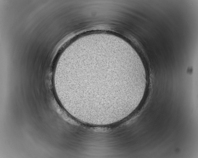 X0000114211029200911201018