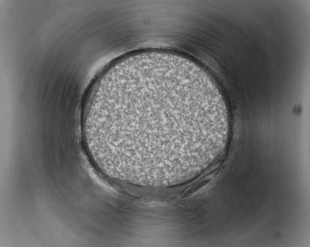 X0000114211030200911201018