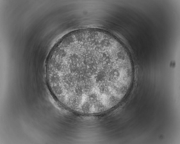 X0000114211031200911201018
