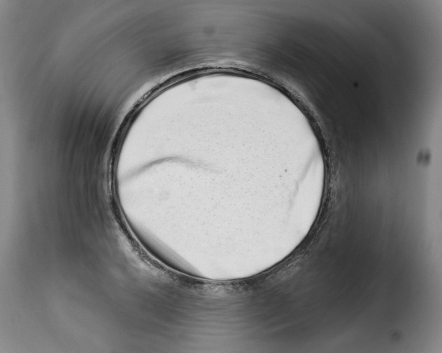 X0000114211032200911201018