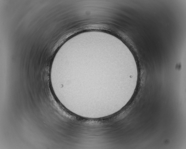 X0000114211033200911201018