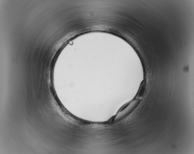 X0000114211034200911201018