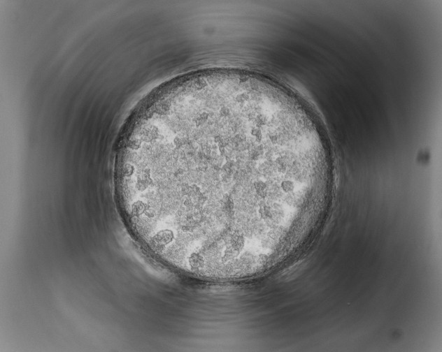 X0000114211035200911201018