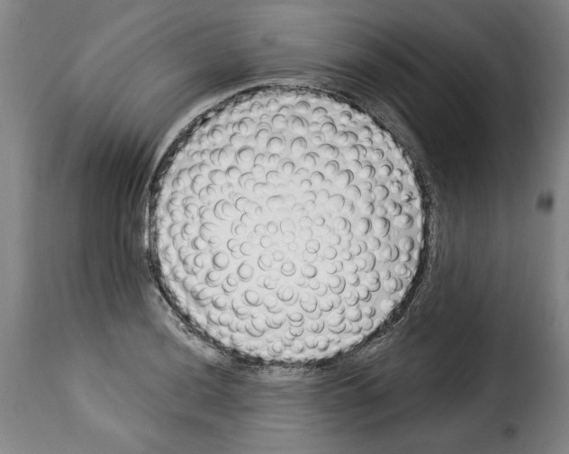 X0000114211036200911201018