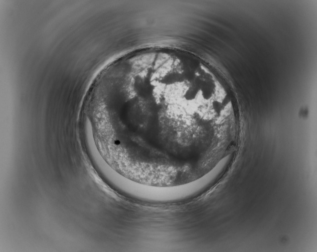 X0000114211037200911201018