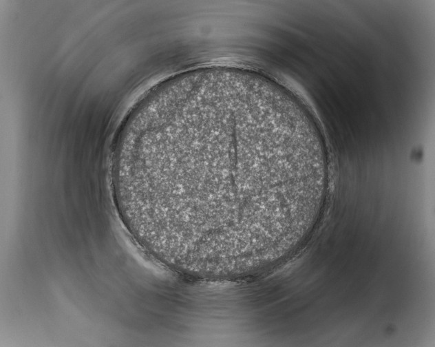 X0000114211043200911201018