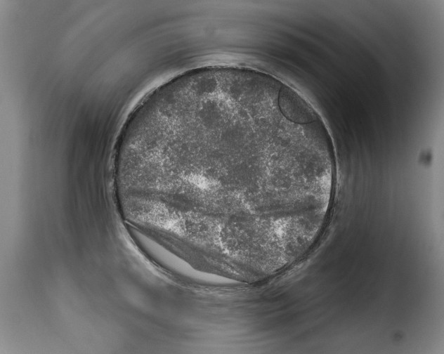 X0000114211045200911201018