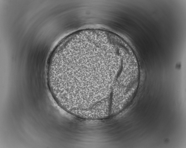 X0000114211046200911201018