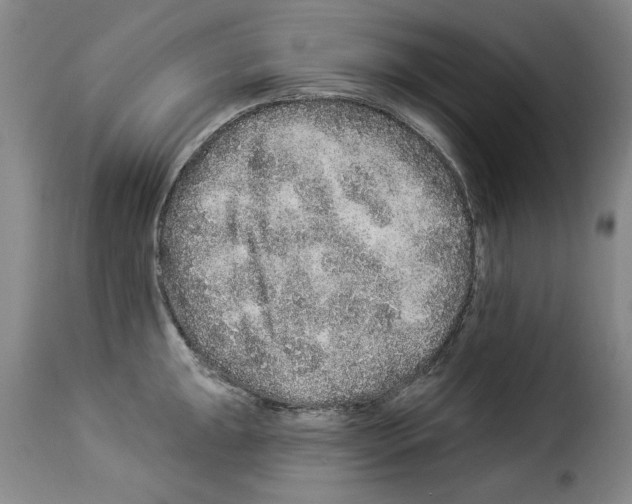X0000114211047200911201018