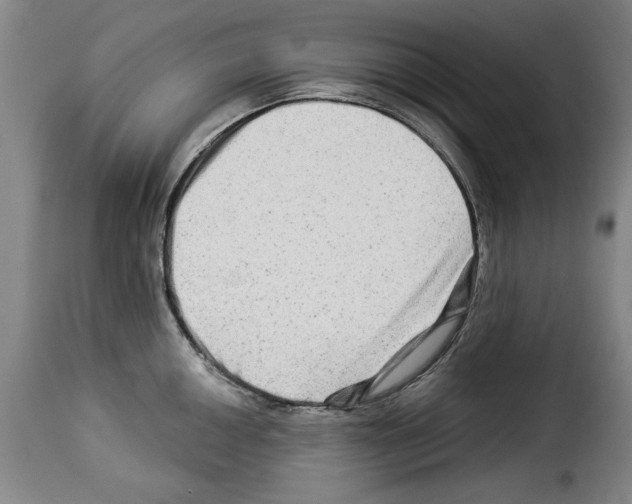 X0000114211050200911201018