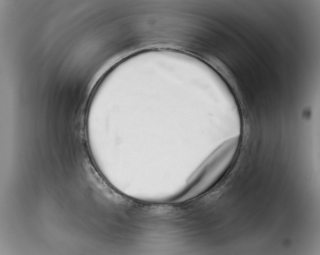 X0000114211052200911201018