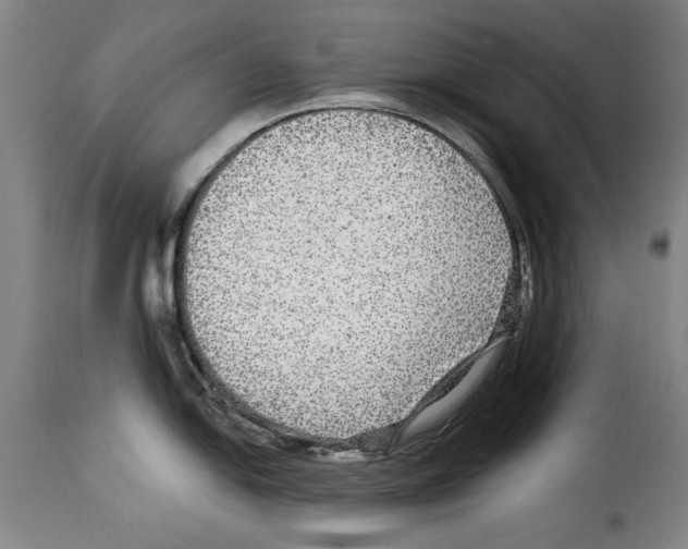X0000114211054200911201018