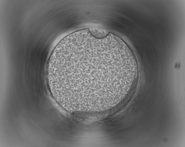 X0000114211056200911201018