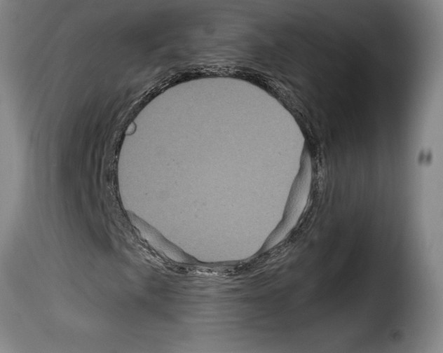 X0000114211057200911201018