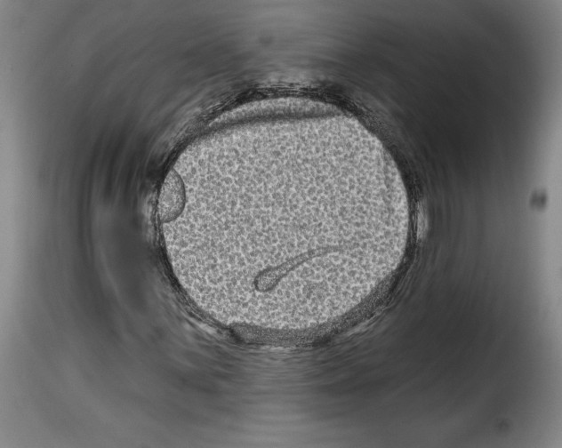 X0000114211059200911201018