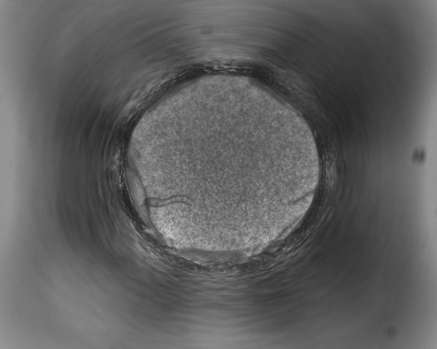 X0000114211060200911201018