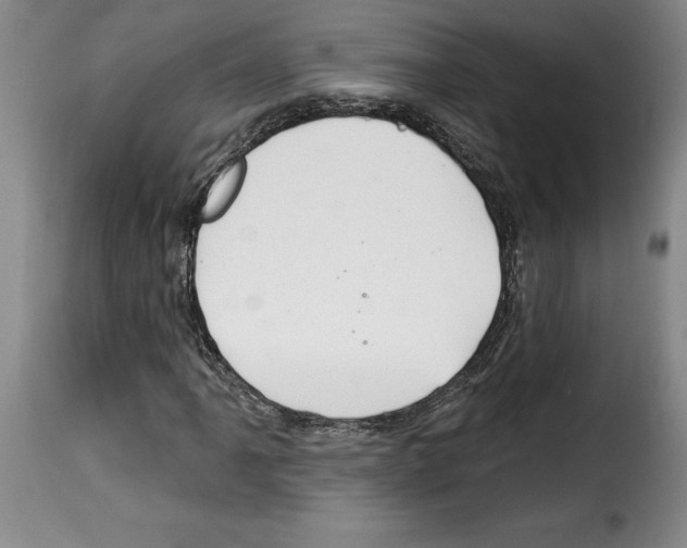 X0000114211061200911201018