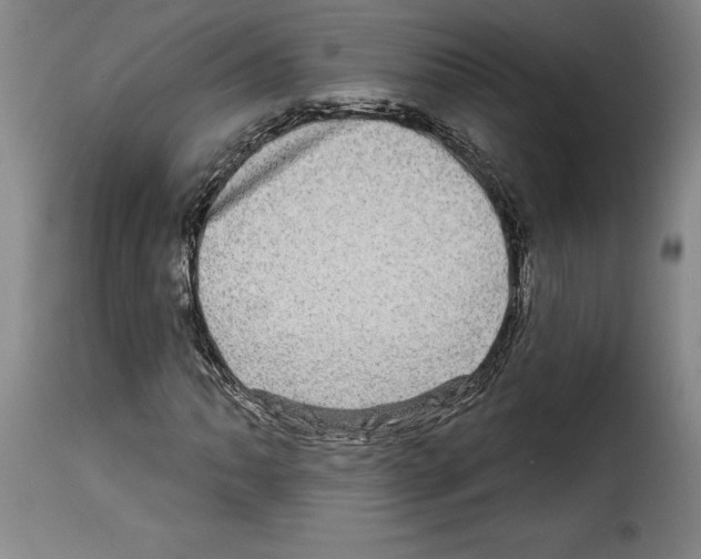 X0000114211062200911201018