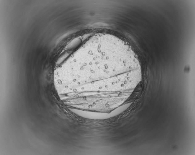 X0000114211063200911201018