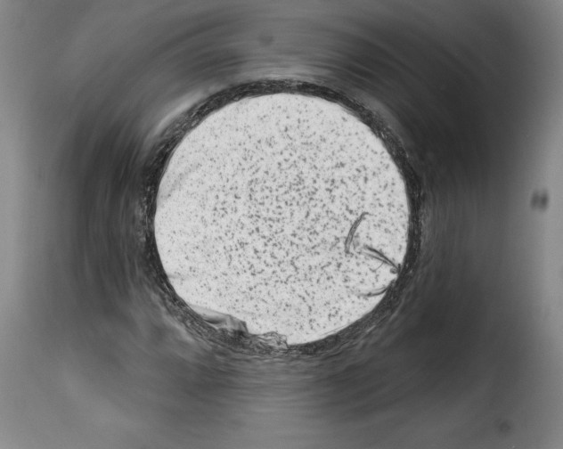 X0000114211064200911201018