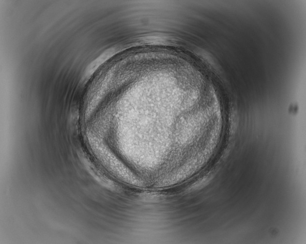 X0000114211065200911201018