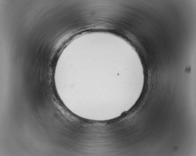 X0000114211067200911201018