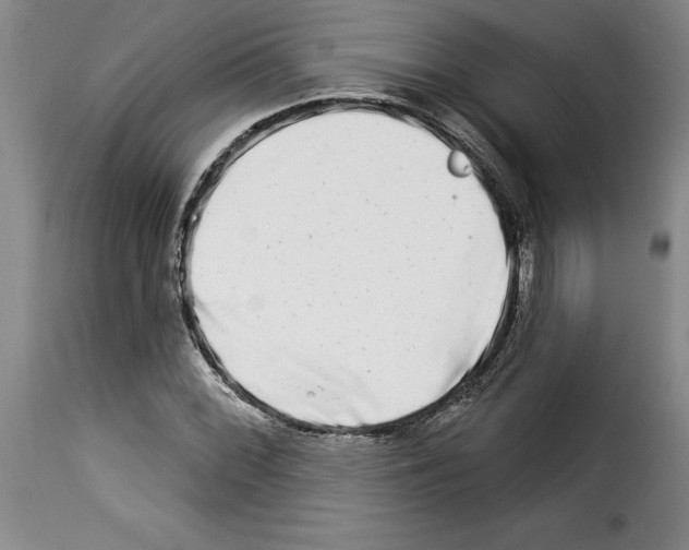 X0000114211068200911201018
