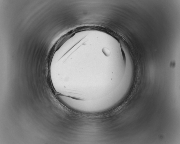 X0000114211069200911201018