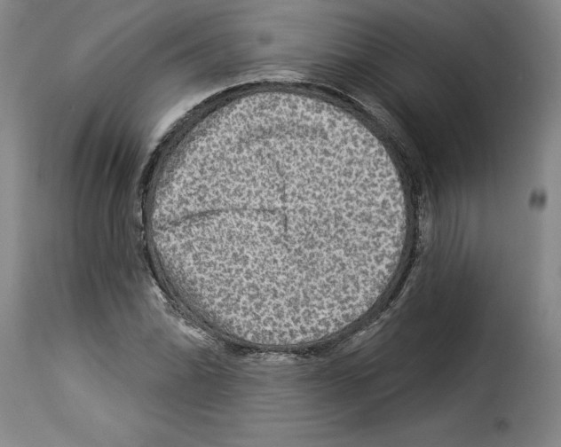 X0000114211070200911201017