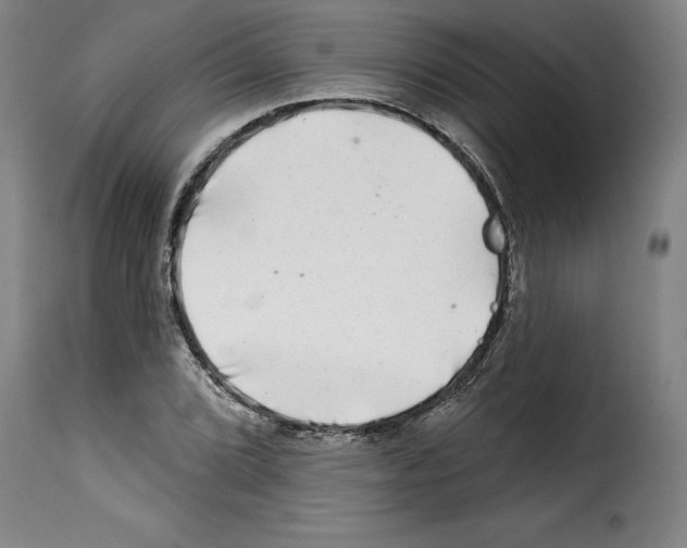 X0000114211072200911201017
