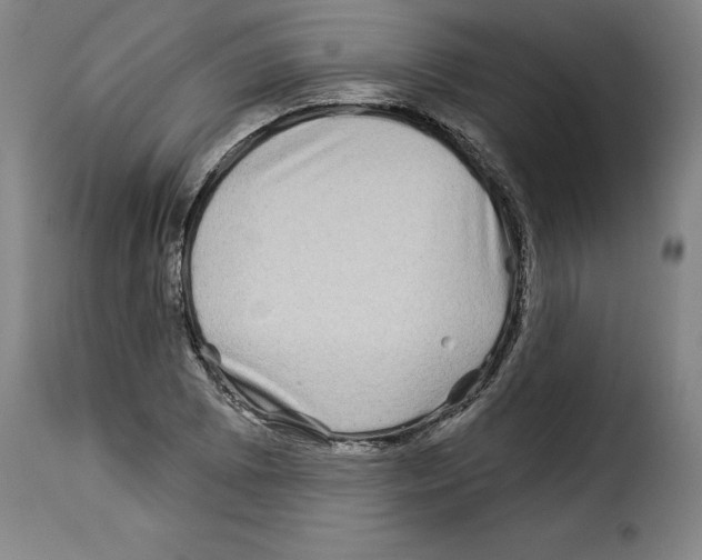X0000114211073200911201017