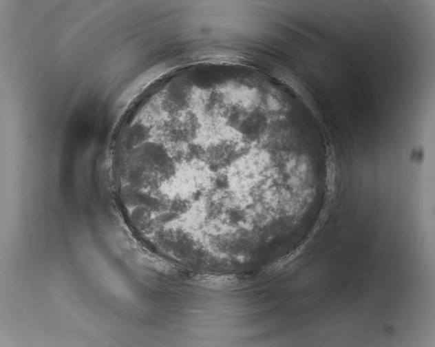 X0000114211074200911201017