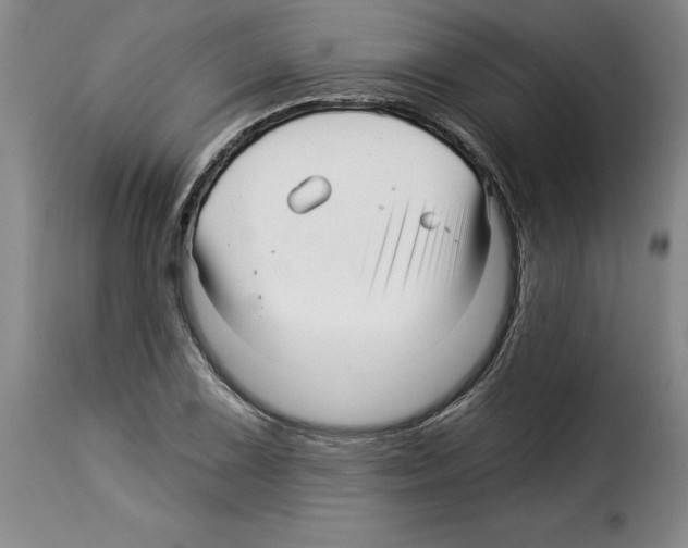 X0000114211075200911201017