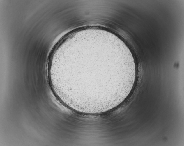 X0000114211076200911201017