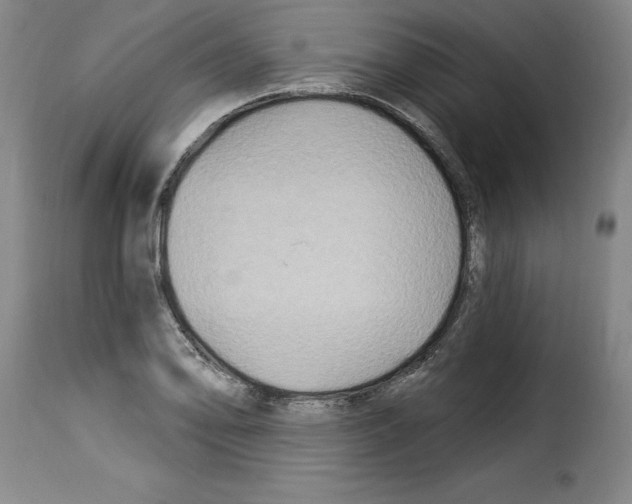 X0000114211078200911201017