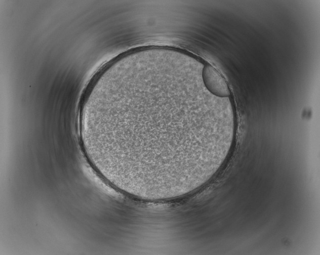 X0000114211080200911201017