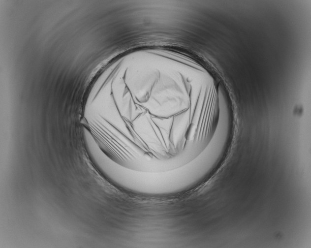 X0000114211081200911201017
