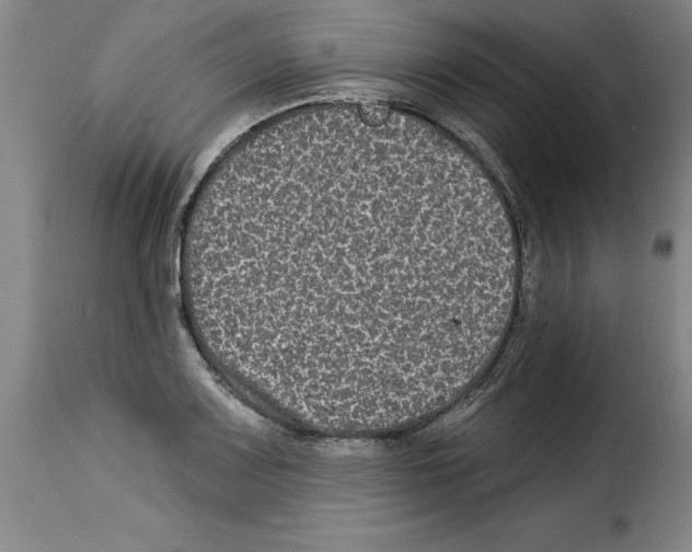 X0000114211083200911201017