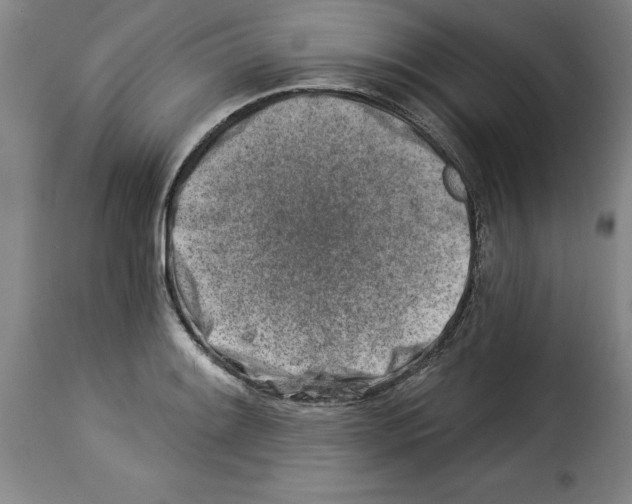 X0000114211084200911201017