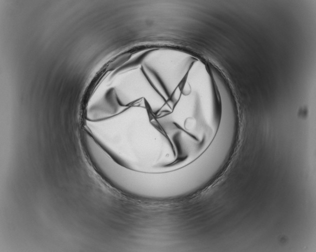 X0000114211085200911201017