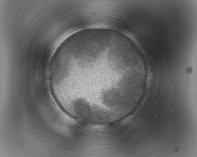 X0000114211086200911201017