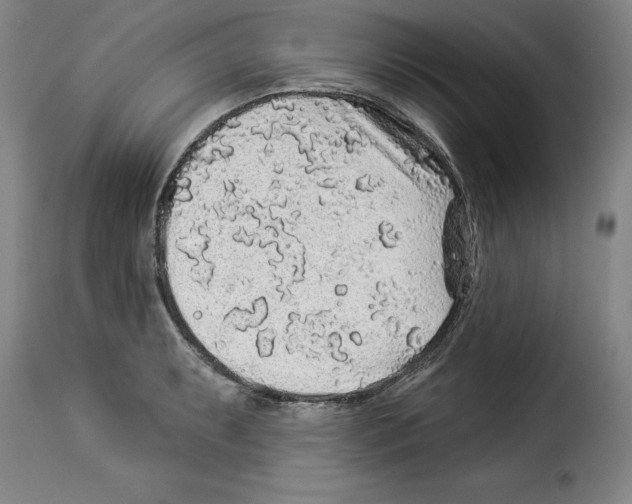 X0000114211087200911201017