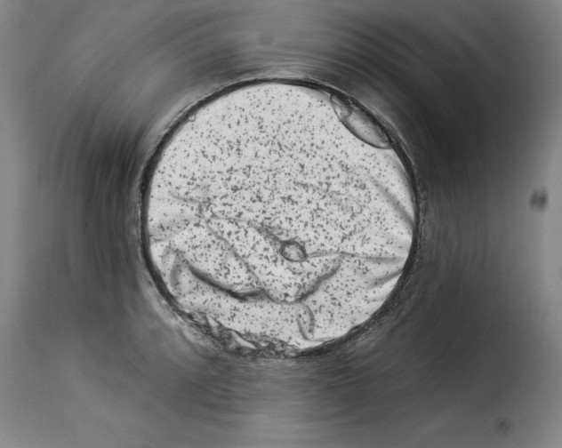 X0000114211088200911201017
