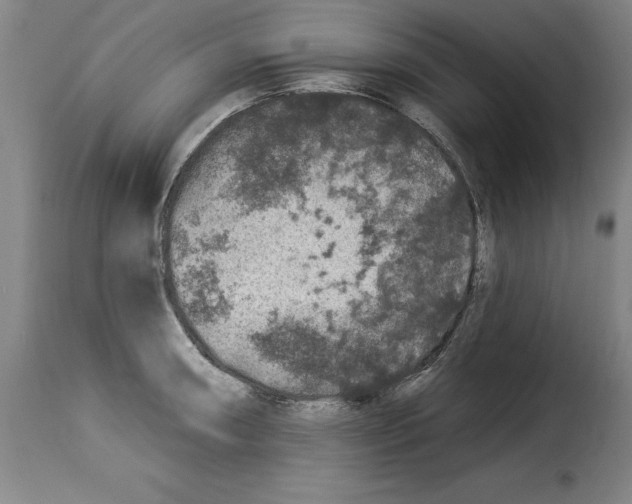 X0000114211090200911201017
