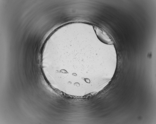 X0000114211092200911201017