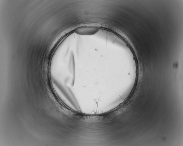 X0000114211093200911201017
