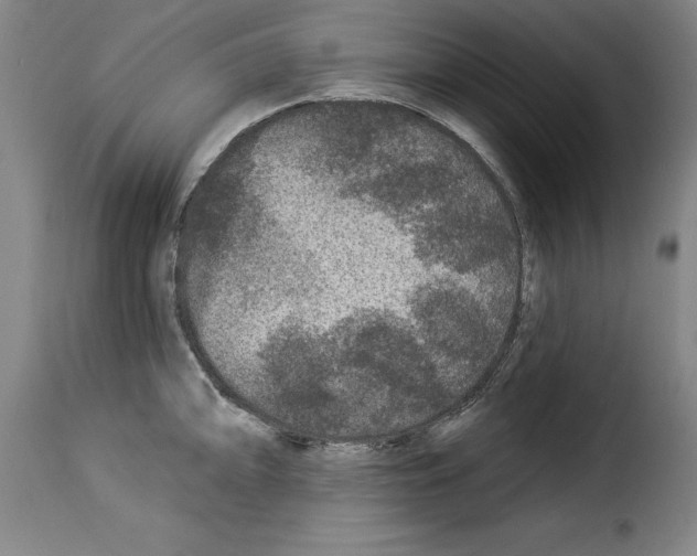 X0000114211094200911201017