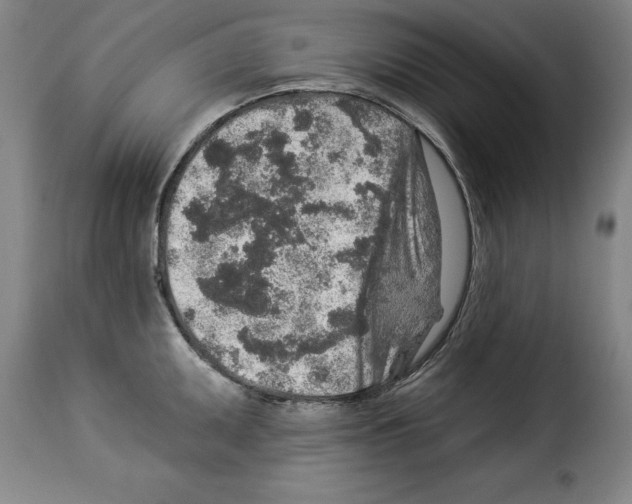X0000114211095200911201017