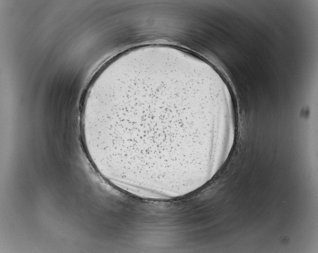 X0000114211096200911201017