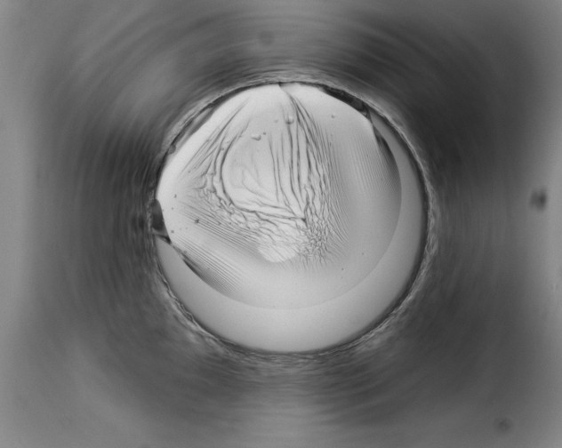 X0000114211097200911201017